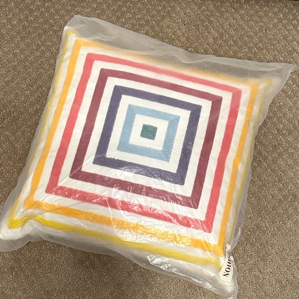 Concentric Stripe Square Accent Pillow - Multicolor